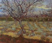 Apricot Trees In Blossom II Reproduction