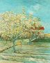 Orchard In Blossom II Reproduction