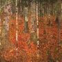 Birch Forest Reproduction