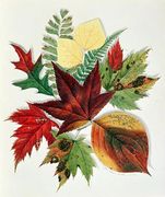 Autumn Leaves 1858 Reproduction