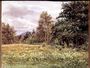 Meadow-sweet near Polchar Aviemore Scotland 1905 Reproduction