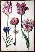 Three Broken Tulips, Cornflower and Anemone Reproduction