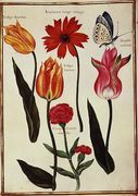 Tulips, Anemone, Lychnis and a Butterfly Reproduction