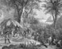 The Coffee Harvest, engraved by Deroi, pub. by Engelmann, c.1835 Reproduction