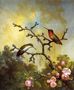 Ruby Throated Hummingbirds With Apple Blossoms Reproduction