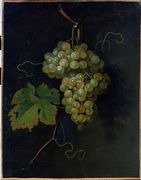 Grapes Reproduction