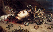 Head Of Medusa Reproduction