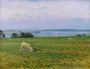 Sheep Grazing Osterby Skagen Reproduction