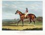 Theodore the Winner of the Great St Leger at Doncaster Reproduction