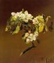 A Spray Of Apple Blossoms Reproduction