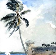 A Tropical Breeze, Nassau Reproduction