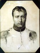 Portrait of Napoleon Reproduction