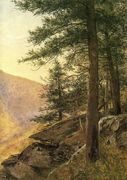 Hemlocks in the Catskills Reproduction