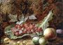 Still life of raspberries, gooseberries, peach and plums on a mossy bank Reproduction