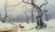 A Stag in a wooded landscape Reproduction