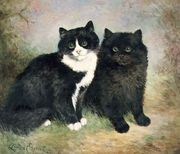 A Pair of Pussy Cats Reproduction