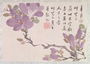 Blossoms, one of twelve leaves inscribed with a poem from an Album of Fruit and Flowers Reproduction