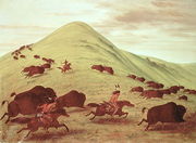 Sioux Indians hunting buffalo, 1835 Reproduction