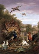 Peacock and Rabbits in a Landscape Reproduction