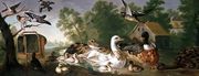 Ducks and Birds in a landscape Reproduction