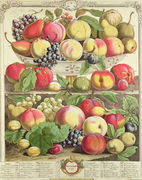 September, from 'Twelve Months of Fruits' Reproduction