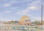 Haystack on the Banks of the Loing, 1891 Reproduction