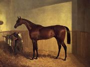 'The Merry Monarch', a bay racehorse, in a loosebox Reproduction