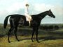 'Jonathan Wild', a Dark Bay Race Horse, at Goodwood, T. Ryder up, 1846 Reproduction