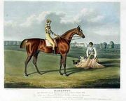 'Barefoot', the Winner of the Great St. Leger at Doncaster, 1823 Reproduction