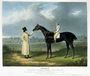 'Jerry', the Winner of the Great St. Leger at Doncaster, 1824 Reproduction