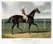 'Chorister', the Winner of the Great St. Leger Stakes at Doncaster, 1831 Reproduction