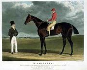 'Birmingham', the Winner of the Great St. Leger Stakes at Doncaster, 1830 Reproduction