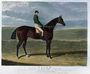 'Priam', the Winner of the Derby Stakes at Epsom, 1830 Reproduction