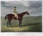 'Frederick', the Winner of the Derby Stakes at Epsom, 1829 Reproduction