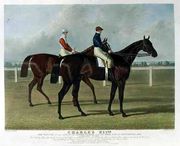 'Charles XII', the Winner of the Great St. Leger Stakes at Doncaster, 1839 Reproduction