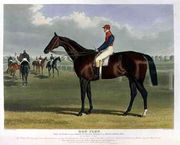 'Don John', the Winner of the Great St. Leger Stakes at Doncaster, 1838 Reproduction