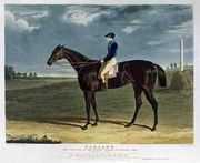 'Cadland', the Winner of the Derby Stakes at Epsom, 1828 Reproduction