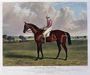 'Little Wonder', the Winner of the Derby Stakes at Epsom, 1840 Reproduction