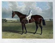 'Bloomsbury', the Winner of the Derby Stakes at Epsom, 1839 Reproduction