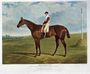 'Dangerous', the Winner of the Derby Stakes at Epsom, 1833 Reproduction