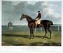 'St. Patrick', the Winner of the Great St. Leger at Doncaster, 1820 Reproduction