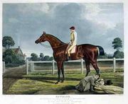 'Reveller', the Winner of the Great St. Leger at Doncaster, 1818 Reproduction