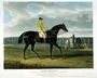 'Jack Spigot', the Winner of the Great St. Leger at Doncaster, 1821 Reproduction