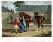 'Antonio', the Winner of the Great St. Leger at Doncaster, 1819 Reproduction