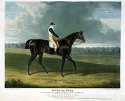 'Filho da Puta', the Winner of the Great St. Leger at Doncaster, 1815 Reproduction