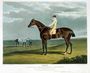 'Ebor', the Winner of the Great St. Leger at Doncaster, 1817 Reproduction