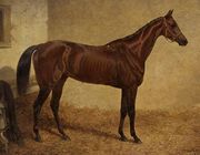 'Crucifix', Winner of the St Leger Reproduction