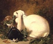 A Doe Rabbit and her two young, 1852 Reproduction