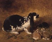 A Doe Rabbit and her three young, 1851 Reproduction