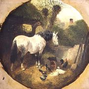 A Carthorse eating hay from a wheel-barrow in a farmyard Reproduction